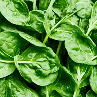 Spinach